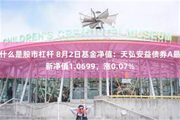 什么是股市杠杆 8月2日基金净值：天弘安益债券A最新净值1.0699，涨0.07%