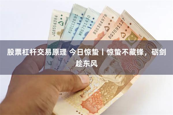 股票杠杆交易原理 今日惊蛰丨惊蛰不藏锋，砺剑趁东风