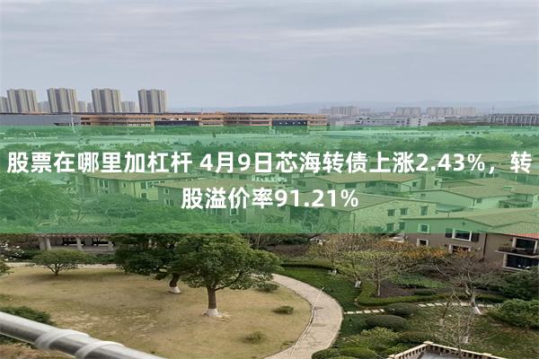 股票在哪里加杠杆 4月9日芯海转债上涨2.43%，转股溢价率91.21%