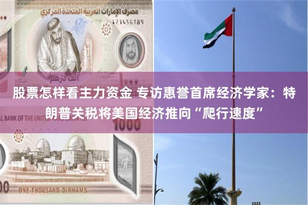 股票怎样看主力资金 专访惠誉首席经济学家：特朗普关税将美国经济推向“爬行速度”