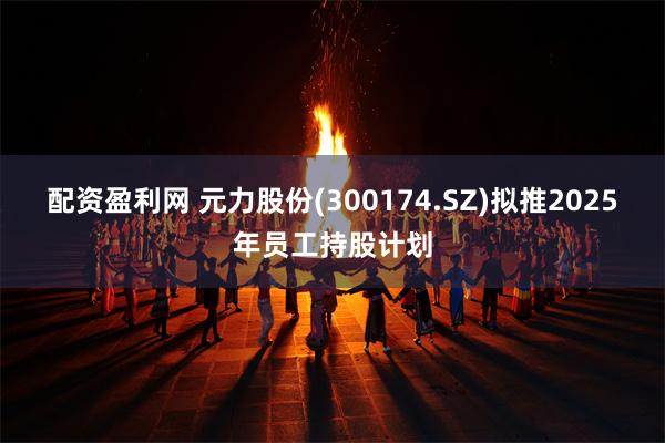 配资盈利网 元力股份(300174.SZ)拟推2025年员工持股计划