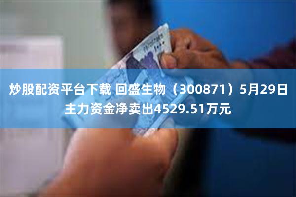 炒股配资平台下载 回盛生物（300871）5月29日主力资金净卖出4529.51万元