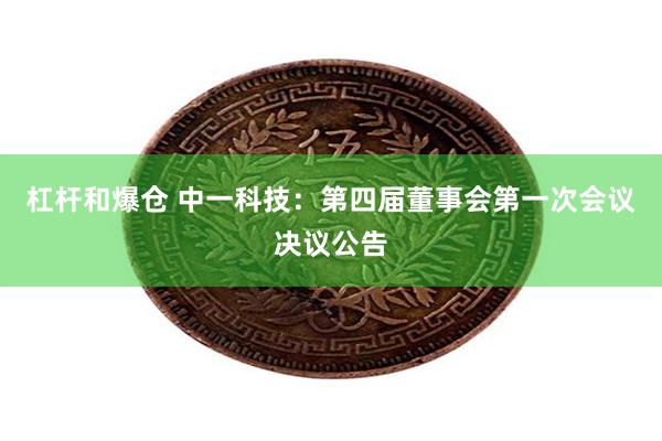 杠杆和爆仓 中一科技：第四届董事会第一次会议决议公告