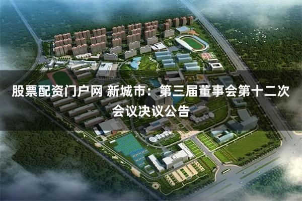 股票配资门户网 新城市：第三届董事会第十二次会议决议公告