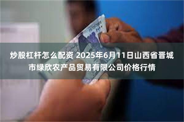 炒股杠杆怎么配资 2025年6月11日山西省晋城市绿欣农产品贸易有限公司价格行情