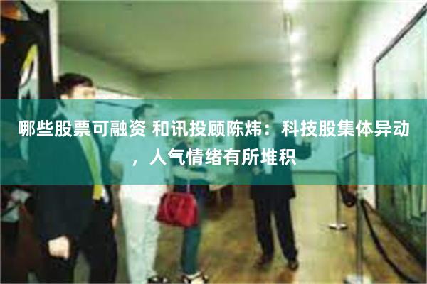 哪些股票可融资 和讯投顾陈炜：科技股集体异动，人气情绪有所堆积