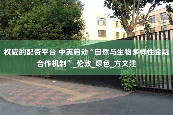 权威的配资平台 中英启动“自然与生物多样性金融合作机制”_伦敦_绿色_方文建