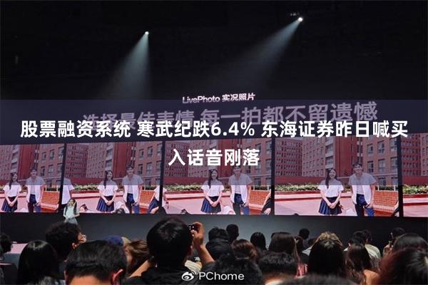 股票融资系统 寒武纪跌6.4% 东海证券昨日喊买入话音刚落